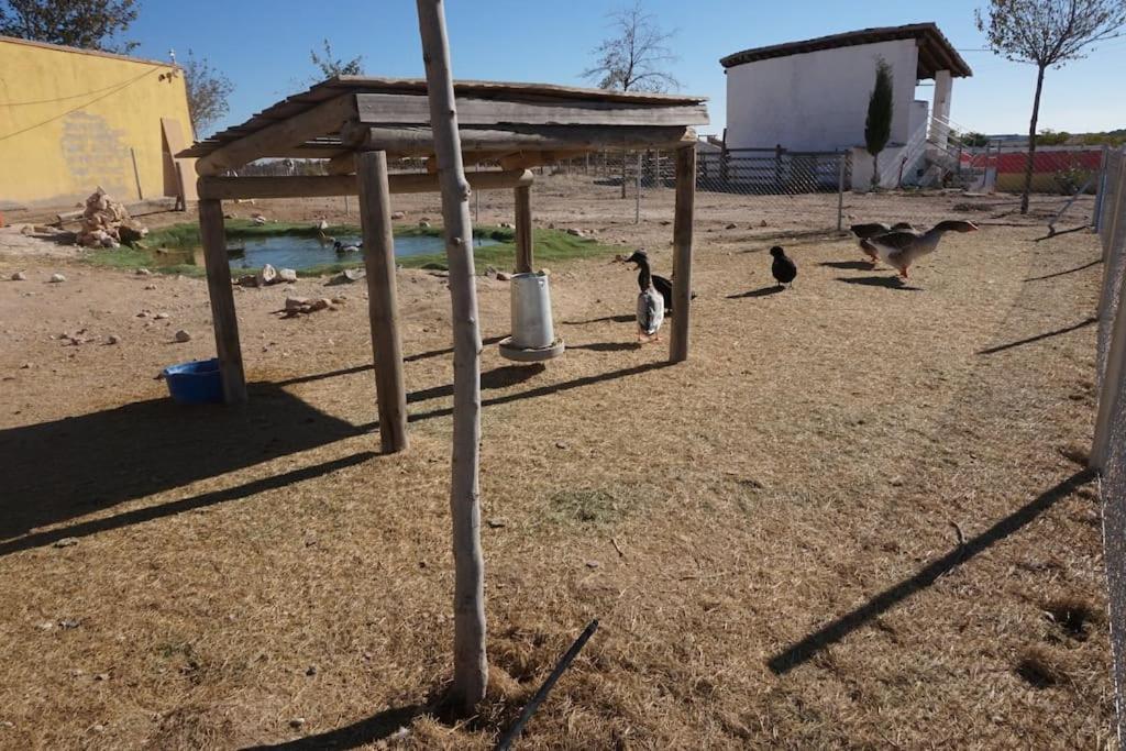 Finca La Caprichosa De Dancos Lillo Екстер'єр фото